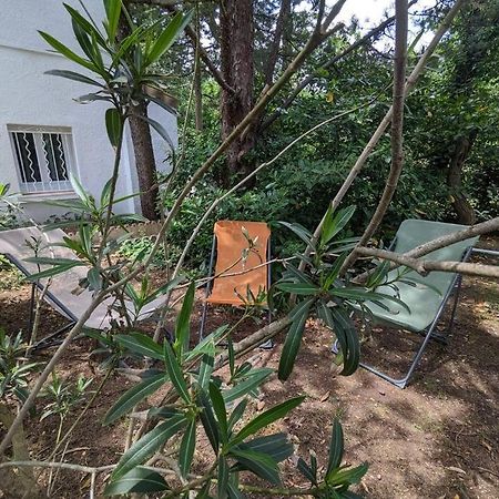 Maison Spacieuse Et Lumineuse 4 Personnes Lavilledieu  Eksteriør bilde