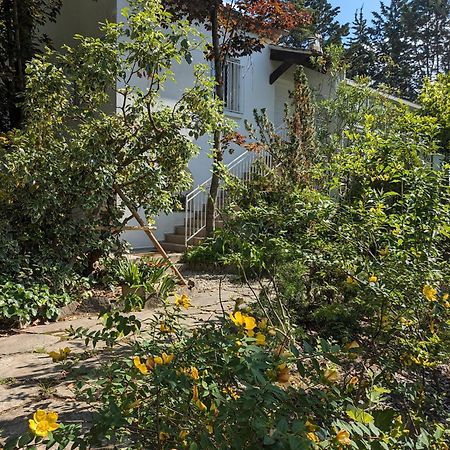 Maison Spacieuse Et Lumineuse 4 Personnes Lavilledieu  Eksteriør bilde